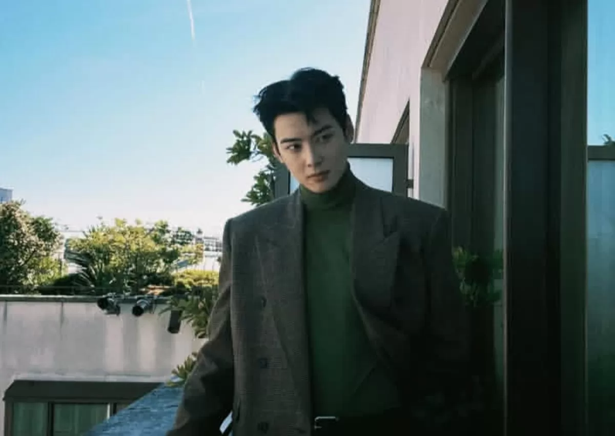  Cha Eunwoo terseret kasus Penggelapan Pajak (Foto : Instagram/eunwo.o_c)