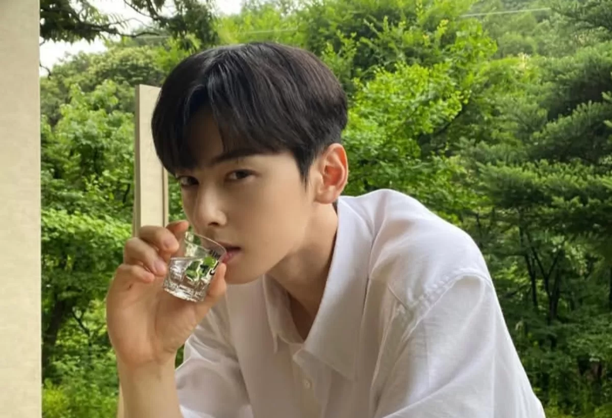 Aktor Drama Korea - Cha Eunwoo (Foto : instagram/eunwo.o_c)