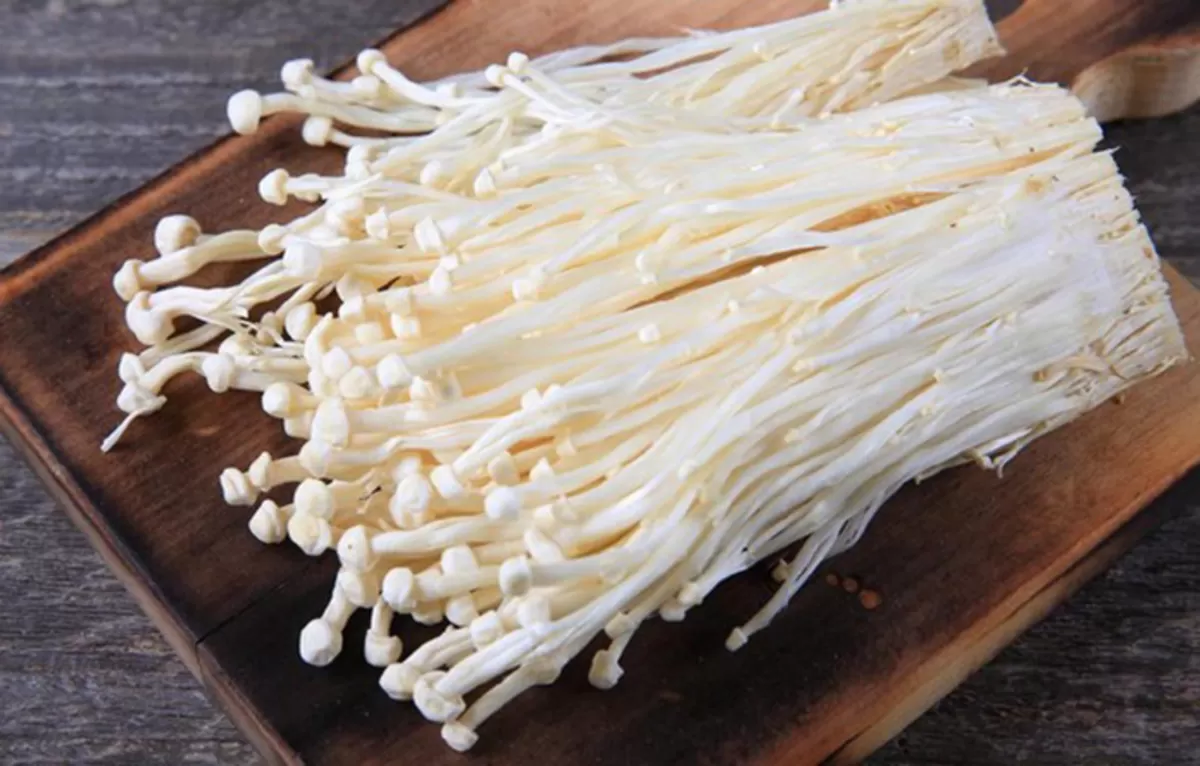 Fakta Menarik Tentang Jamur Enoki (Foto : Univ Airlangga)