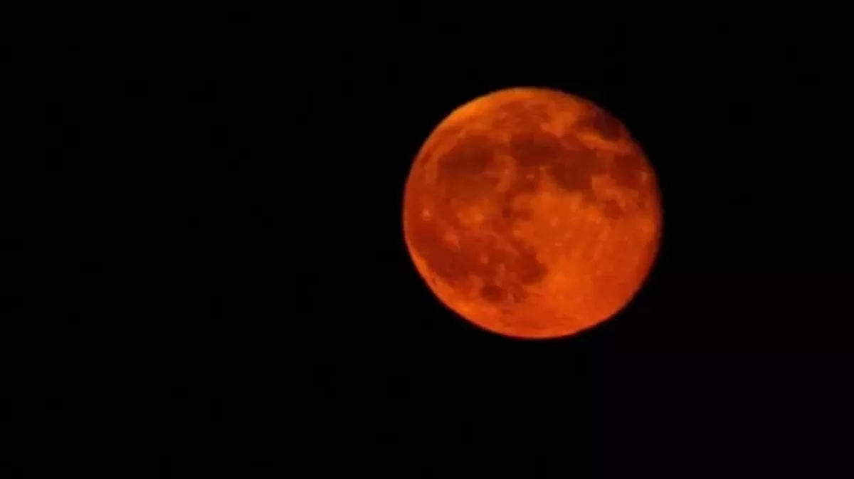 Ilustrasi gerhana bulan total  (Unsplash/Peggy Sue Zinn)