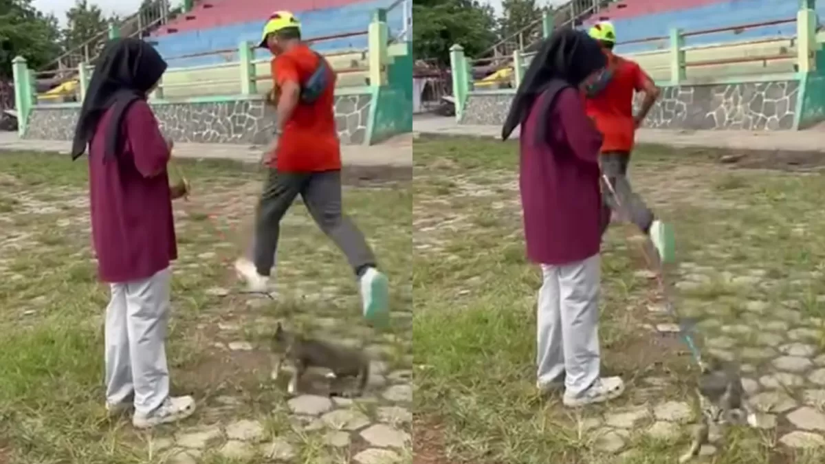 Viral di media sosial insiden penendangan Kucing di Lapangan Kridosono, Blora yang kini masuk ranah hukum.  (Instagram/faidaarz)