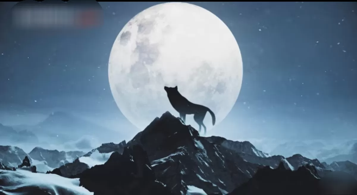 Ilustrasi wolf moon  (YouTube KOMPASTV)