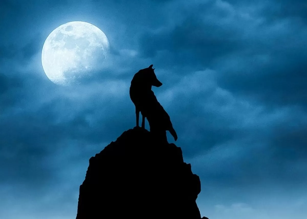 Ilustrasi Wolf Moon, kemunculan bulan purnama pertama di tahun 2026 yang terlihat lebih besar dari biasanya (Pixabay/Mohammed Hassan)