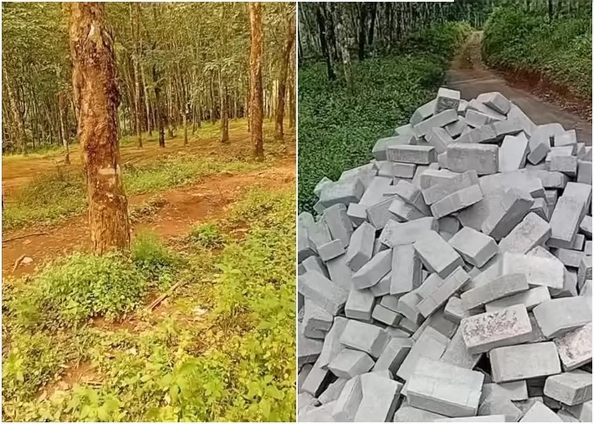Potret jalan menuju Tancak Tulis Jember yang diperbaiki warga menggunakan dana hasil tarikan parkir dari pengunjung wisata (Instagram/explorejember_)