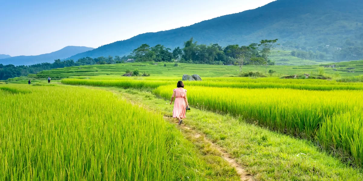 Ilustrasi pemandangan desa wisata di Sleman, Yogyakarta. (Pexels/Quang Nguyen Vinh)