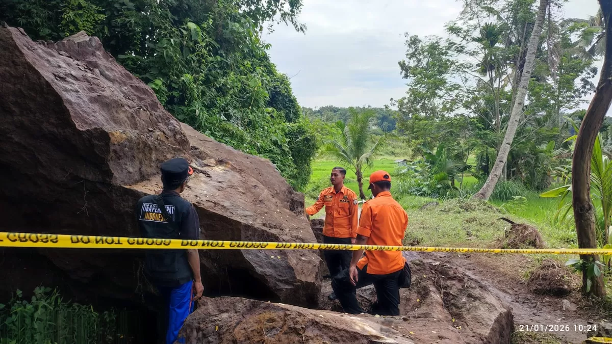 BPBD Jember melakukan evakuasi. (Dok BPBD Jember)