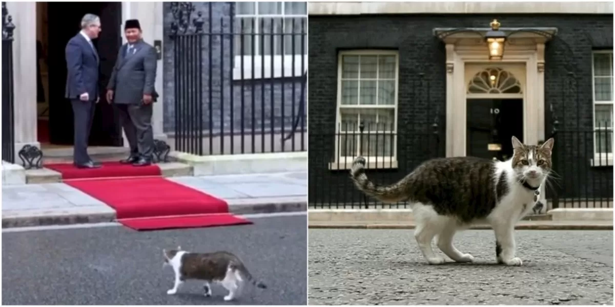 Potret Presiden Prabowo disambut Larry the Cat saat hadiri pertemuan dengan Perdana Menteri Inggris, publik soroti gaya hidup si kucing legendaris penguasa Downing Street (Youtube Sekretariat Presiden)