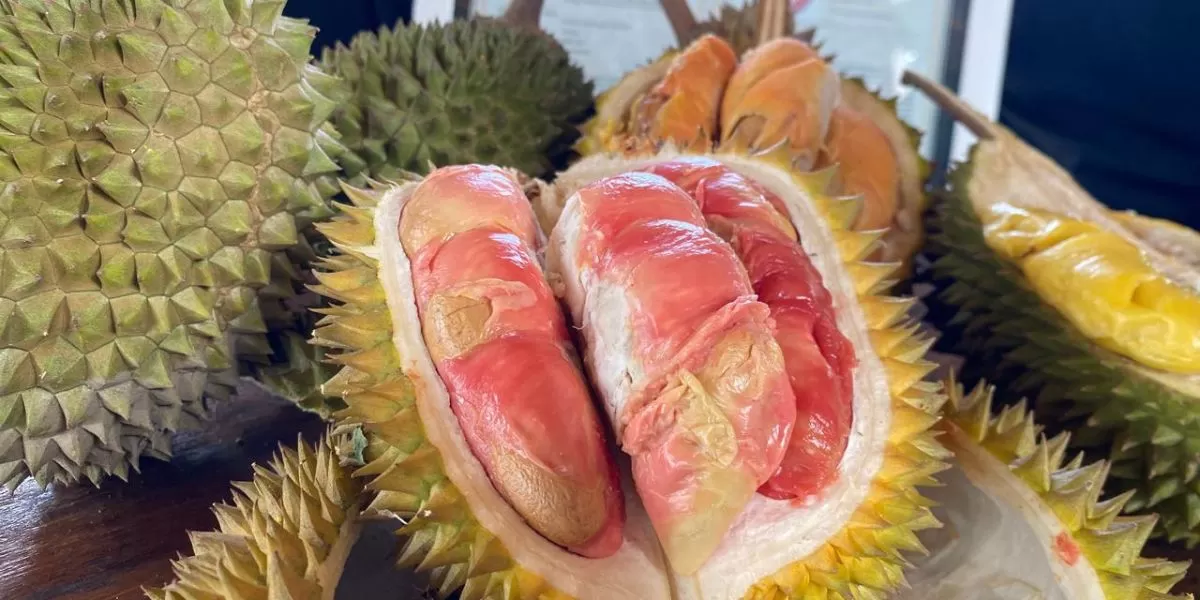 Durian Merah Banyuwangi  (banyuwangikab.go.id)
