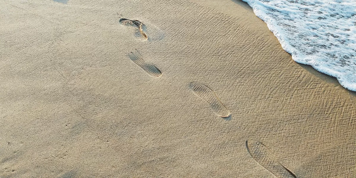 Ilustrasi pasir pantai Nanggelan di Jember, Jawa Timur. (Pexels/brenoanp)