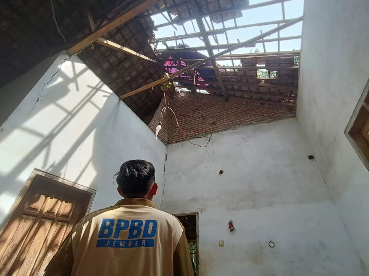 Kondisi rumah yang tertimpa pohon (Dok BPBD Jember)