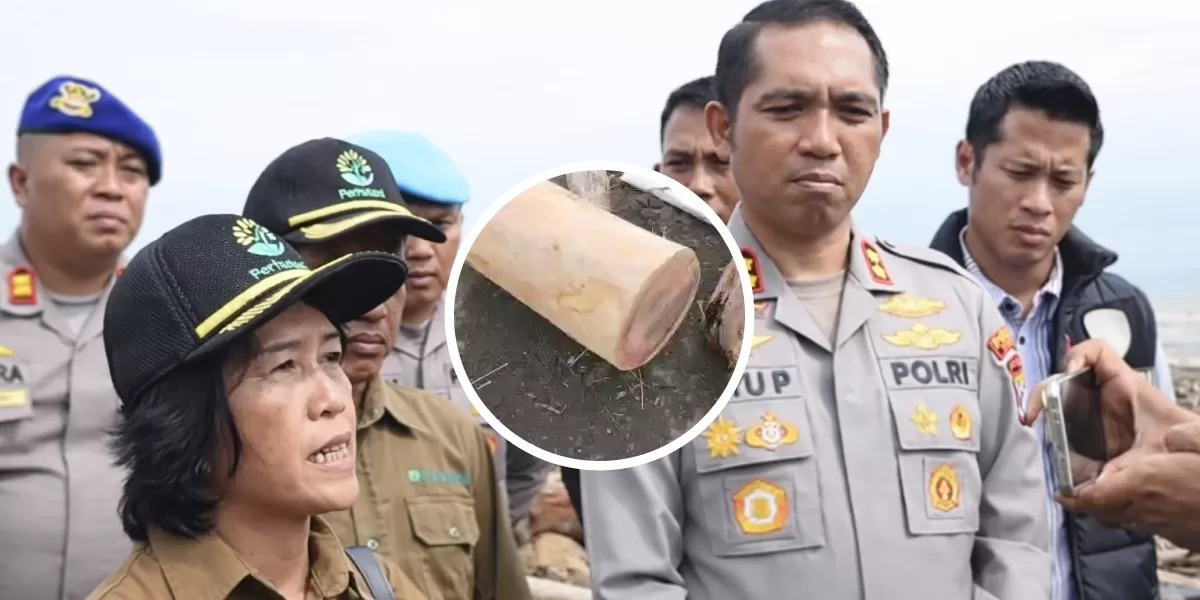 Batang kayu gelondongan terlihat berserakan di Pantai Larangan, Tegal. (X/RadioElshinta)