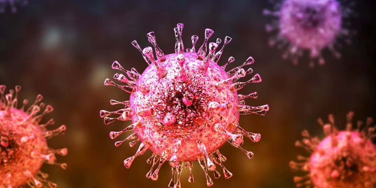 Ilustrasi Virus Nipah.  (X/Currentreport1)