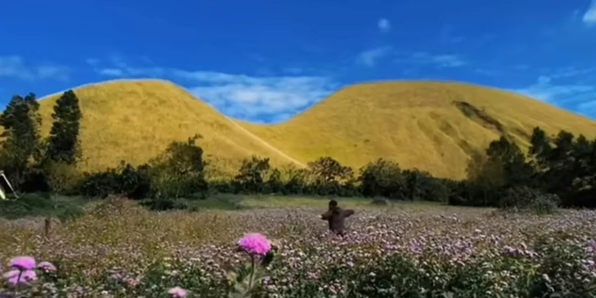 Keindahan Bukit Jamal Kirmit di Bondowoso, Selandia van Java (TikTok/@mr.donath)