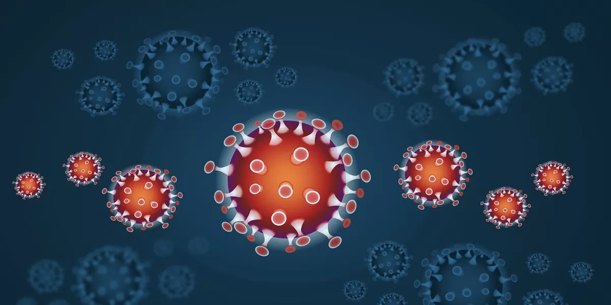 engertian Virus Nipah, gejala, penularan, dan pencegahannya (Pixabay/iXimus)