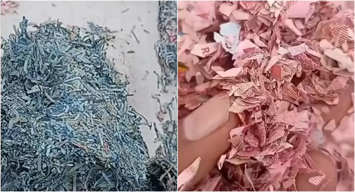 Heboh temuan cacahan kertas diduga potongan uang rupiah asli yang tersebar di Tempat Pembuangan Sampah (TPS) liar di Bekasi (Instagram/sahabatpedulilingkungan)
