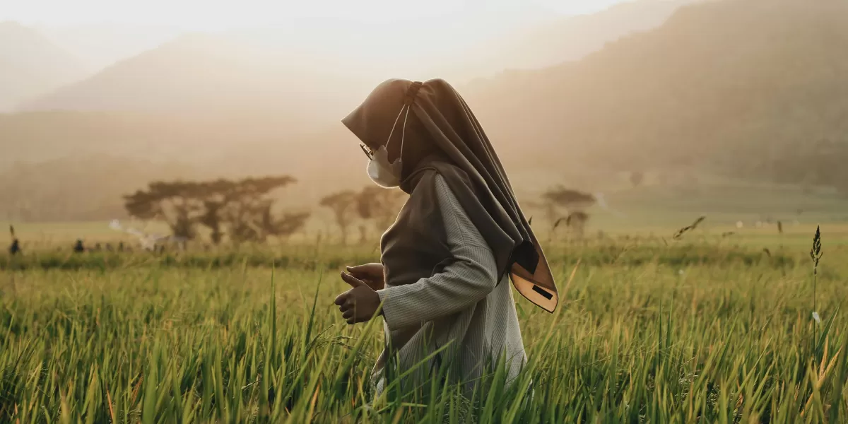 Ilustrasi desa wisata di Bantul, Yogyakarta. (Pexels/firmansyah b l )