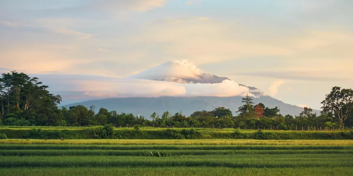 Ilustrasi desa wisata di Yogyakarta. (Pexels/Mike Panton)