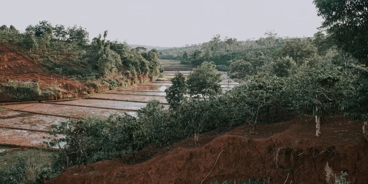Ilustrasi desa wisata di Yogyakarta. (Pexels/HONG SON)