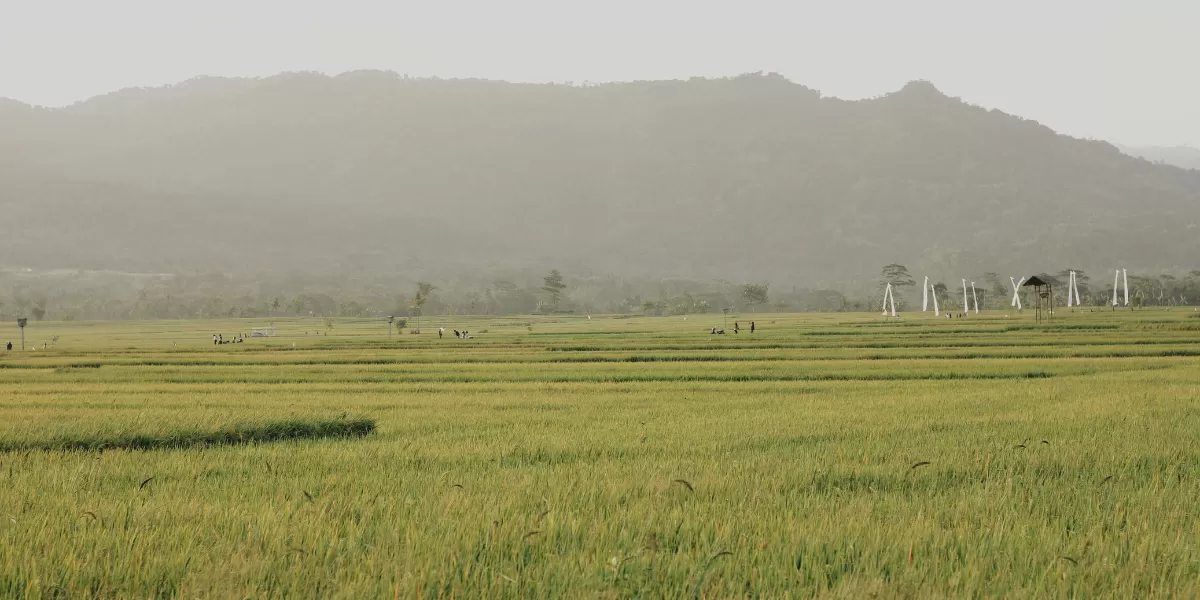 Ilustrasi wisata di Yogyakarta. (Pexels/firmansyah b l )