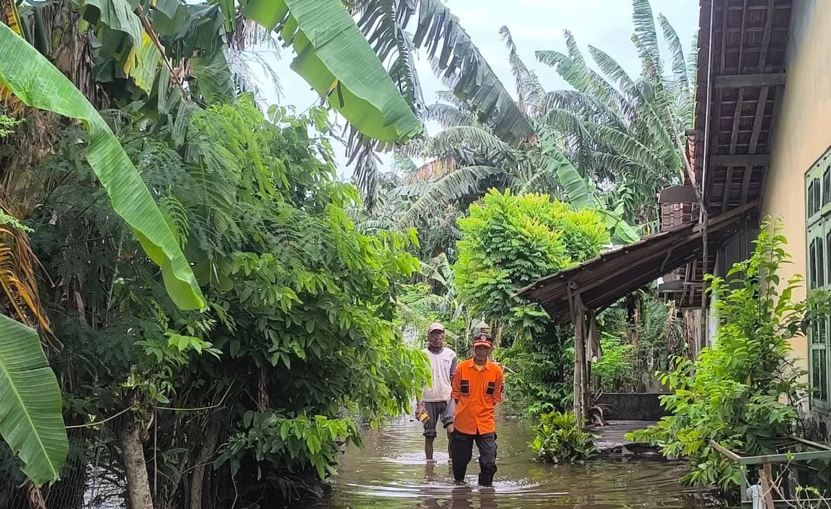 Banjir yang m nerjang Kabupaten Jember menjadi perhatian Pemerintah Kabupaten Jember. (Dok BPBD Jember)
