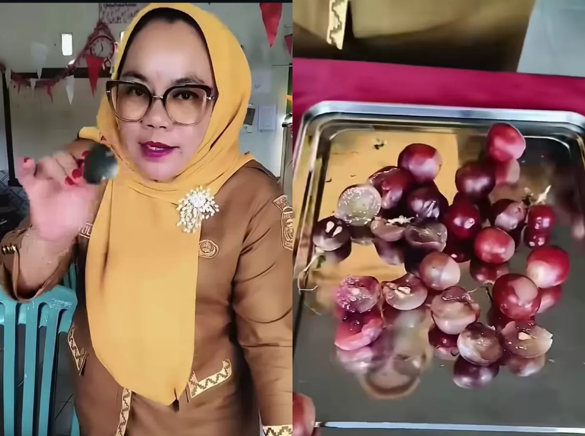 Viral Kepsek SDN 3 Sindang Sari Lampung Utara memprotes makanan MBG tak layak konsumsi.  (TikTok/kanjengida1408)