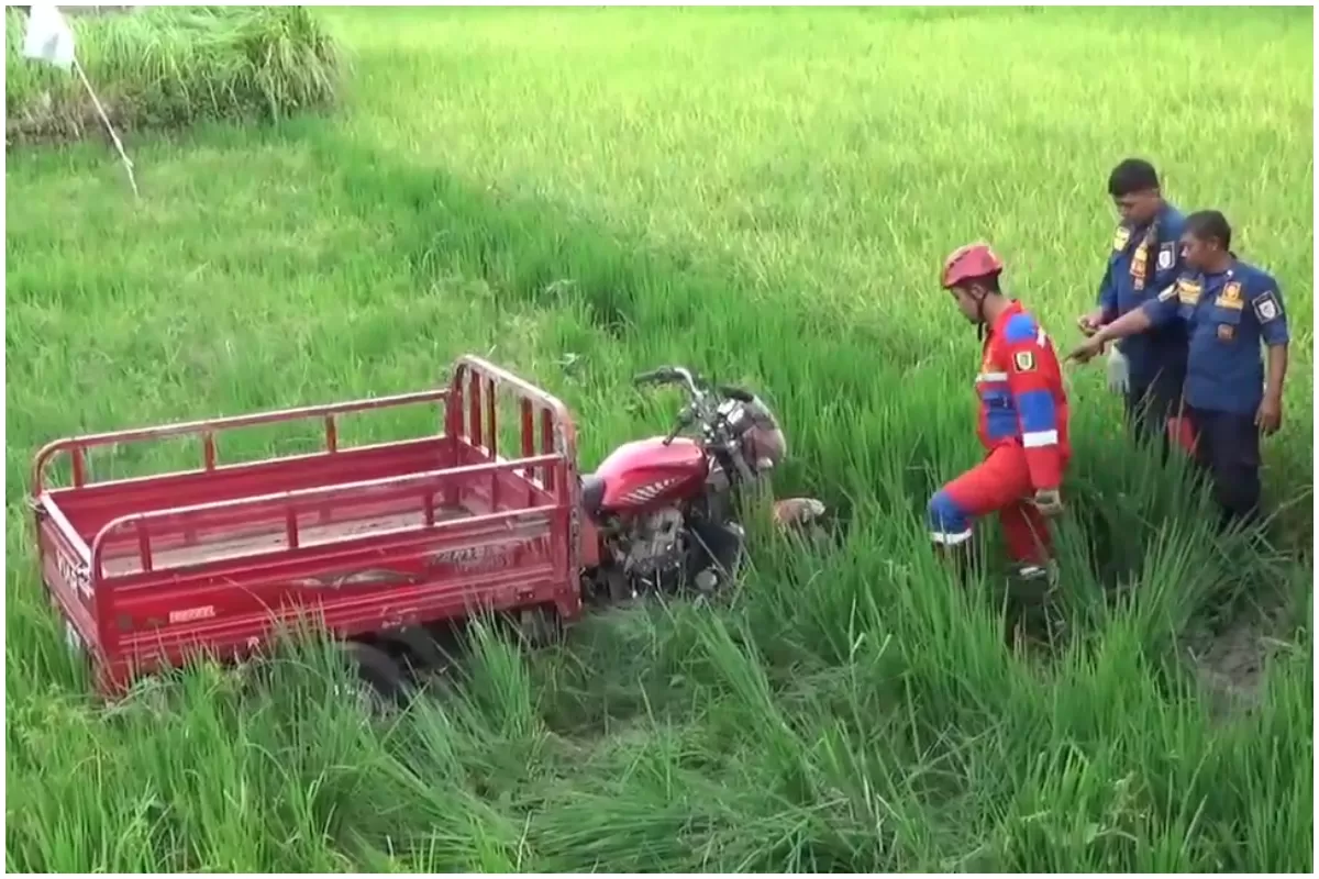 Damkar Klaten evakuasi motor roda tiga yang terjun ke sawah, Jumat, 16 Januari 2026 di Desa Ngalas, Kecamatan Klaten Selatan, kabupaten Klaten, Jawa Tengah. (Portaloka.id/WKP)