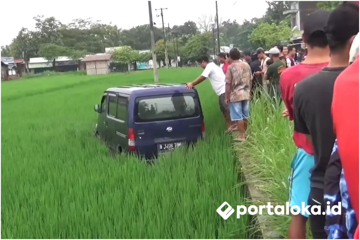 Mobil masuk ke dalam sawah, Minggu sore, 18 Januari 2026 di jalan alternatif Cawas-Kalikotes, tepatnya di Desa Wanglu, Kecamatan Trucuk, Kabupaten Klaten, Jawa Tengah. (Portaloka.id/WKP)