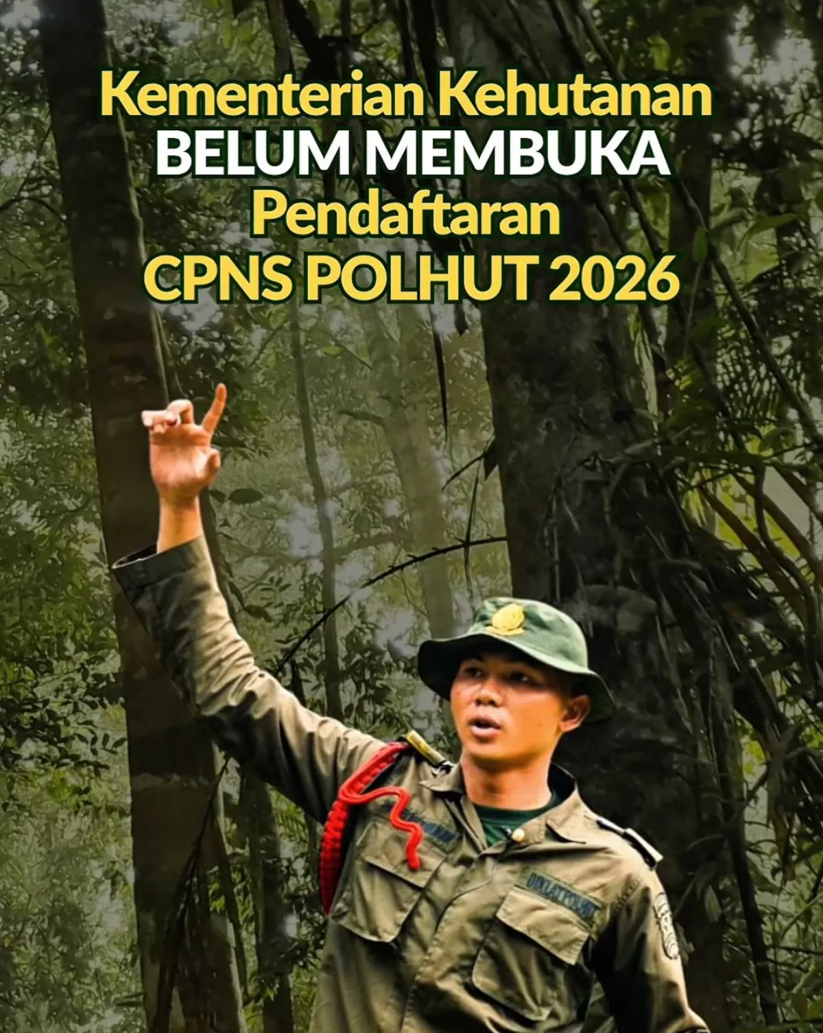 Penjelasan Kemenhut terkait informasi rekrutmen CPNS Polhut 2026 (Instagram @kemenhut)