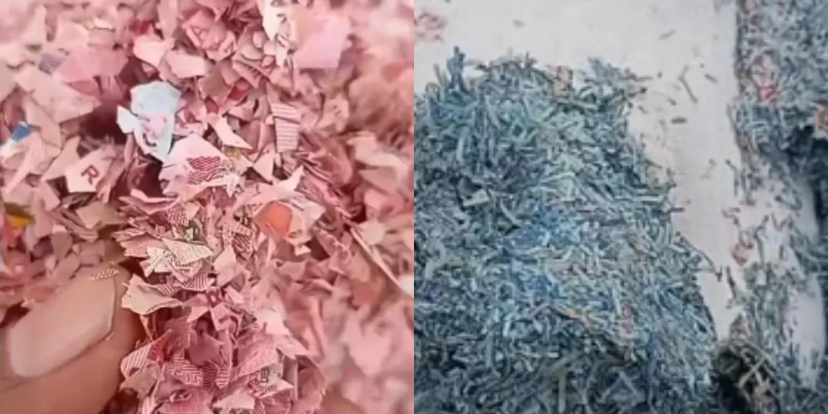viralnya cacahan kertas yang diduga potongan uang asli di TPS Bekasi, Jawa Barat.  (Instagram.com/@sahabatpedulilingkungan)
