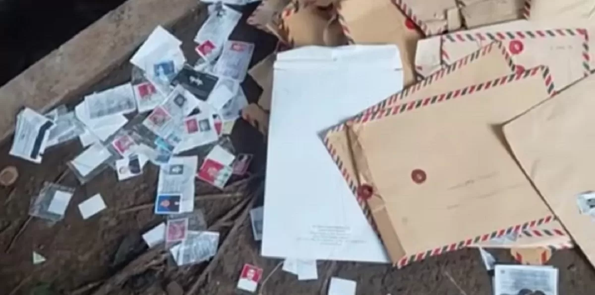 Viral penemuan CV pelamar kerja yang dibuang sembarangan.  (TikTok/quirkyalone1047)