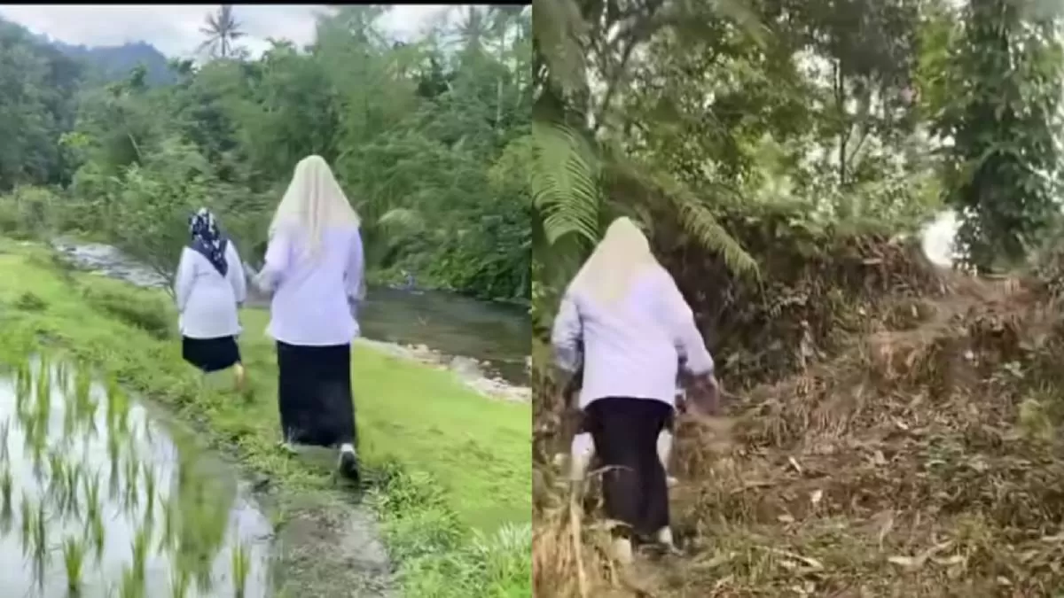 Potret perjuangan guru di Padang Pariaman lewati sawah untuk temui seorang murid. (Instagram @smpntigakayutanam.pdgpariaman)
