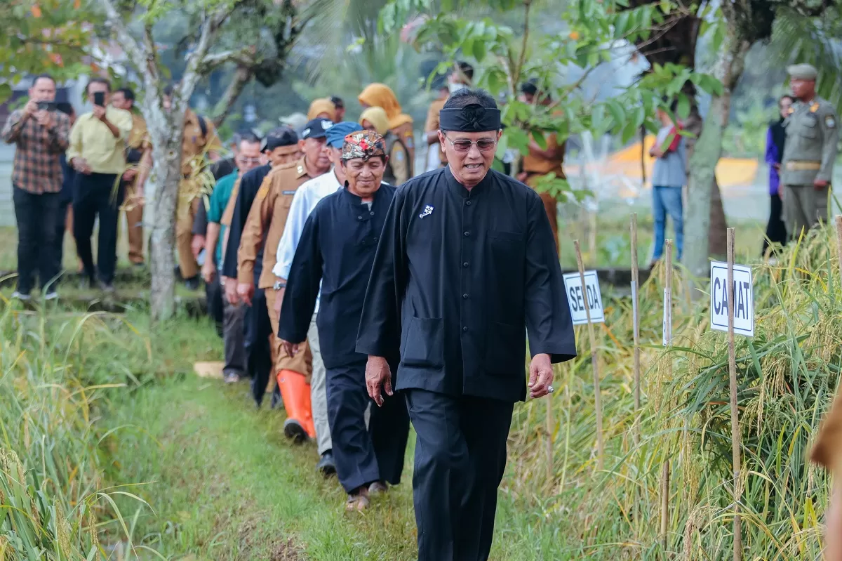 Bupati Ciamis Herdiat Sunarya hadiri Panen Raya Organik (Ist)