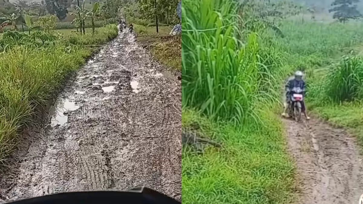 Viral video seorang guru di Grobogan, mengeluhkan akses jalan yang sulit untuk sampai ke sekolah.  (TikTok/bu_guru_nieng_kls4)