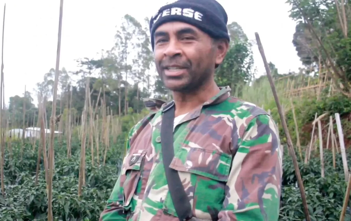 Buncis di NTT terserap MBG membuat petani bahagia (Ist)