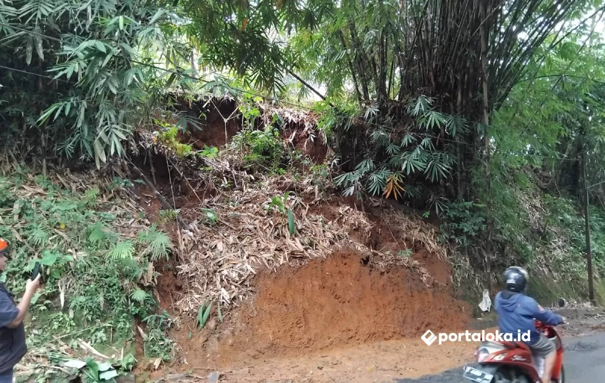 Tebing setinggi 7 meter di Desa Karangampel, Baregbeg, Ciamis ambrol menutup badan jalan (Portaloka.id/Bang Sufi)