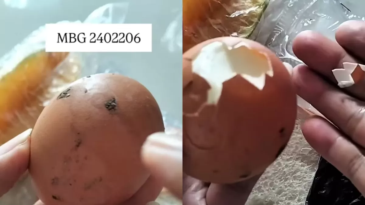 Viral MBG di Magetan, menu telur rebus masih banyak kotoran ayam di kulitnya.  (Instagram/twinarsih20)