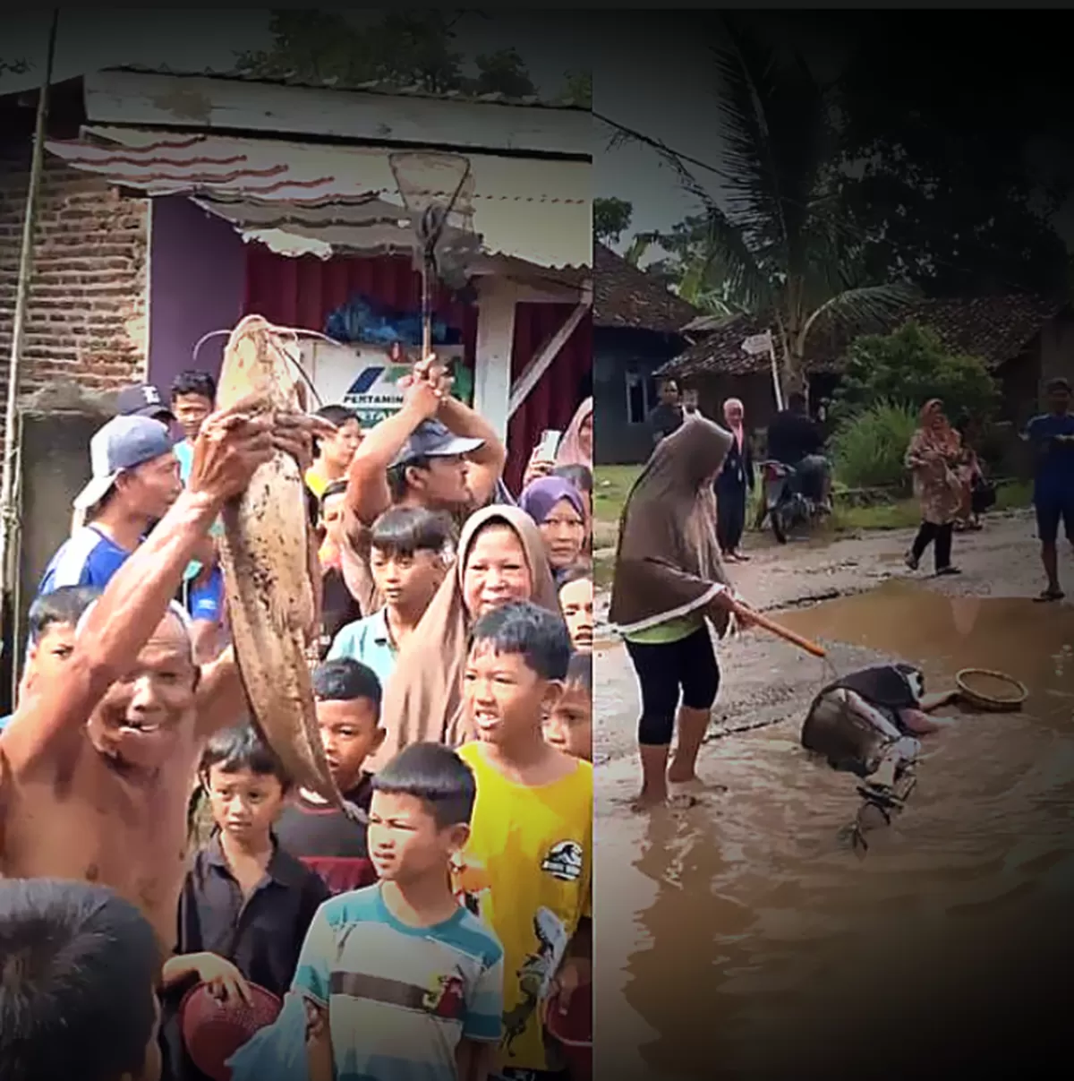 Warga Lampung Selatan menebar lele di jalan rusak 14 tahun. Protes kreatif ini menagih janji pembangunan Bupati Radityo Egi Pratama.