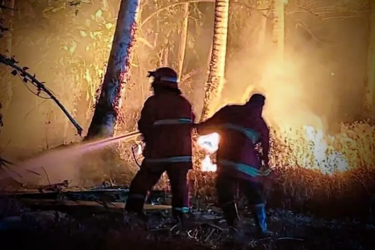 Kebakaran lahan seluas 20 hektare melanda Desa Avolua, Parigi Moutong, akibat aktivitas pembakaran lahan oleh warga. Tim BPBD dan Manggala Agni masih berjibaku memadamkan api.