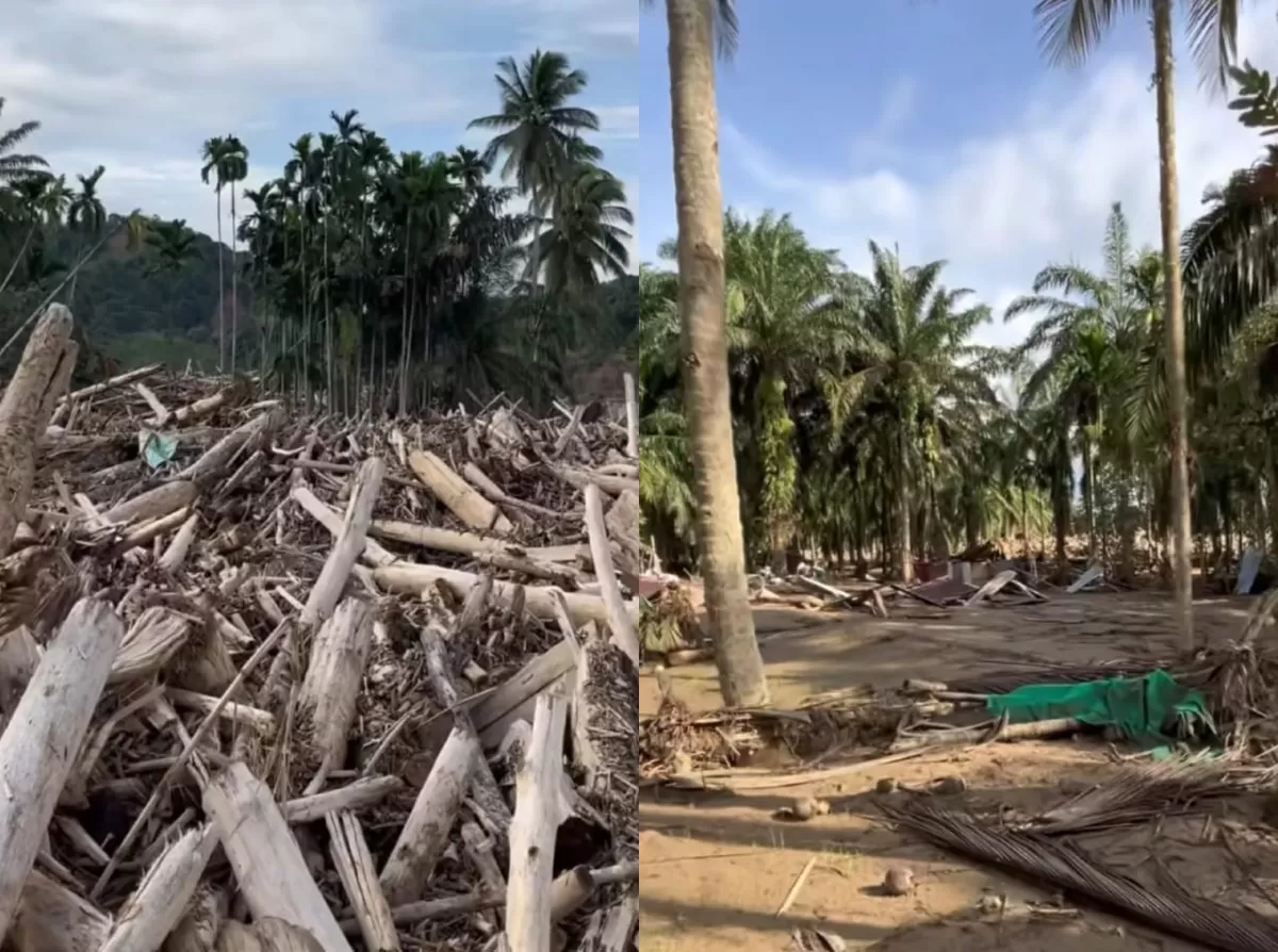 Potret Kondisi Aceh Tamiang yang masih dipenuhi dengan tumpukan kayu pascabanjir bandang. (Foto Instagram/si.braay)