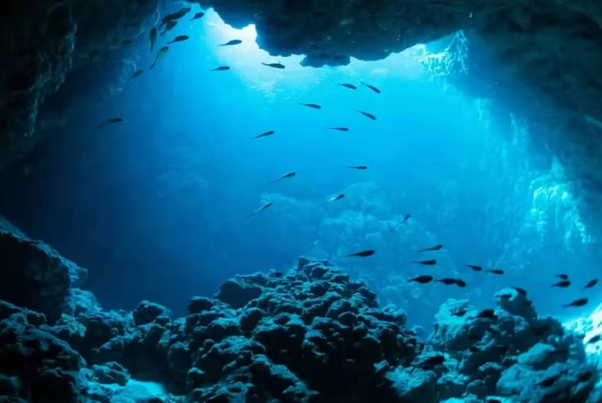 Kamera satelit NASA mengungkap Laut Indonesia yang semakin gelap. (Foto: Wikipedia-thebrighterside)