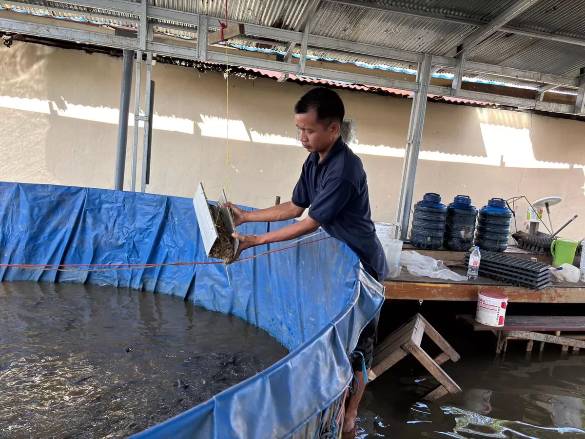 WBP Lapas Amuntai Saat Kegiatan Pemberian Pakan Ikan Lele