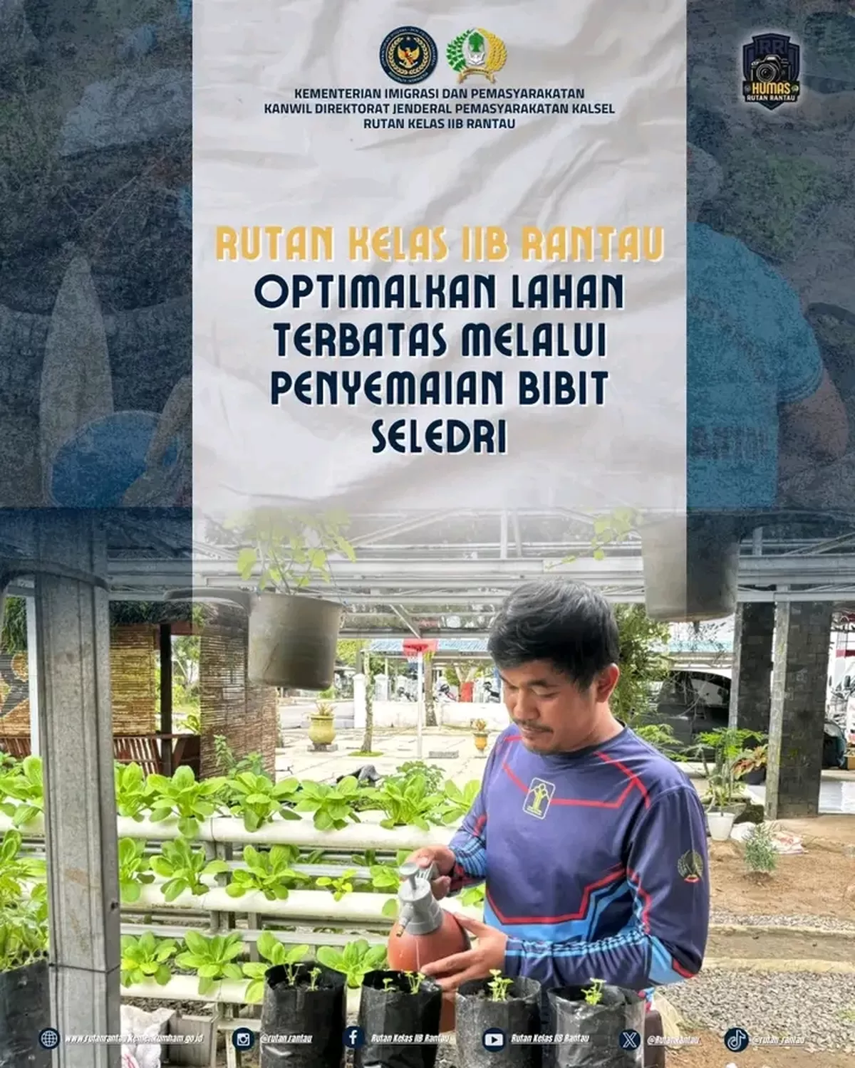 Warga Binaan Rutan Rantau Saat Kegiatan Penyemaian Bibit Seledri