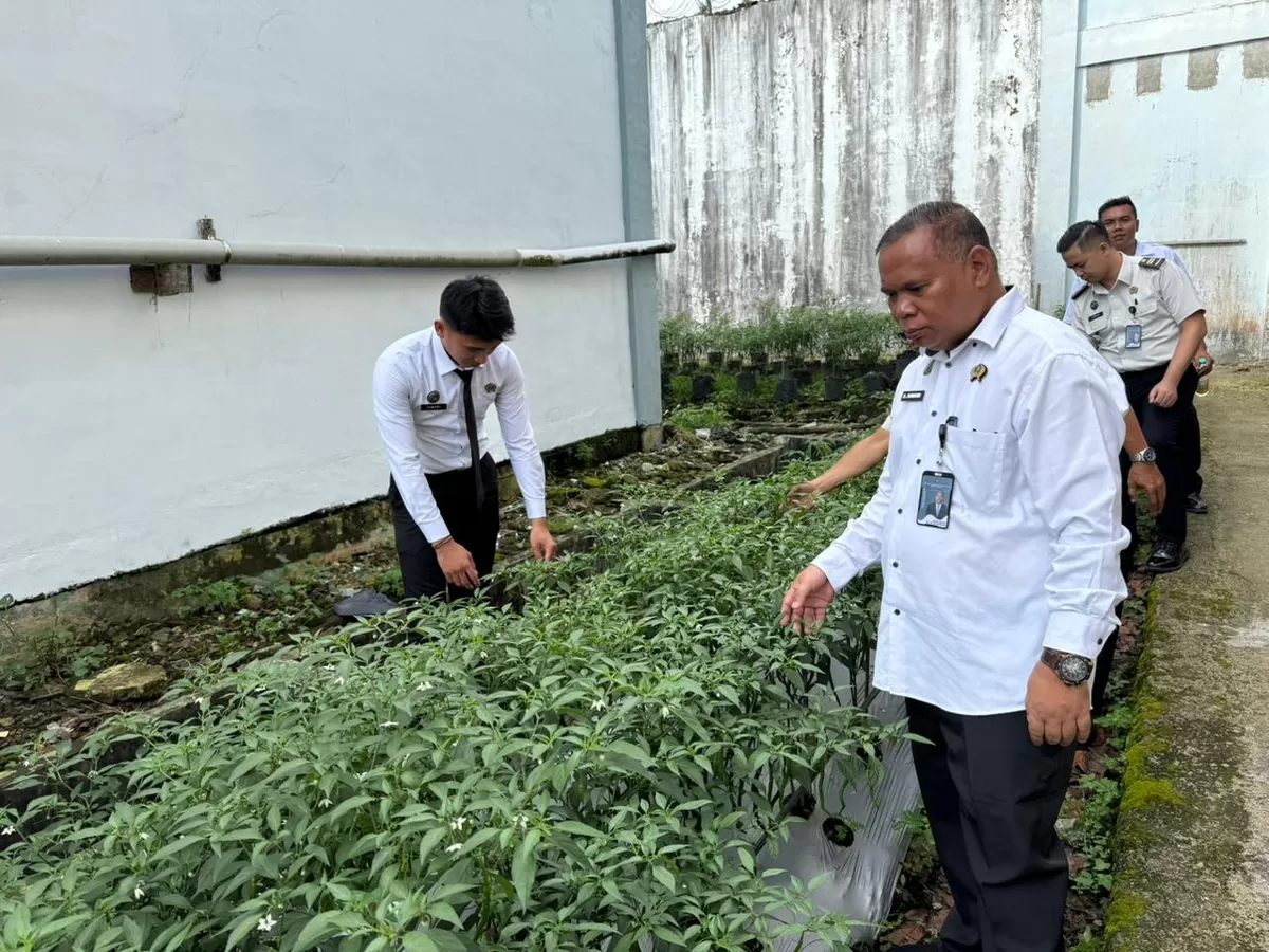 Kalapas Gunungtua dan Jajaran Saat Pantau Persiapan Panen Program Ketahanan Pangan