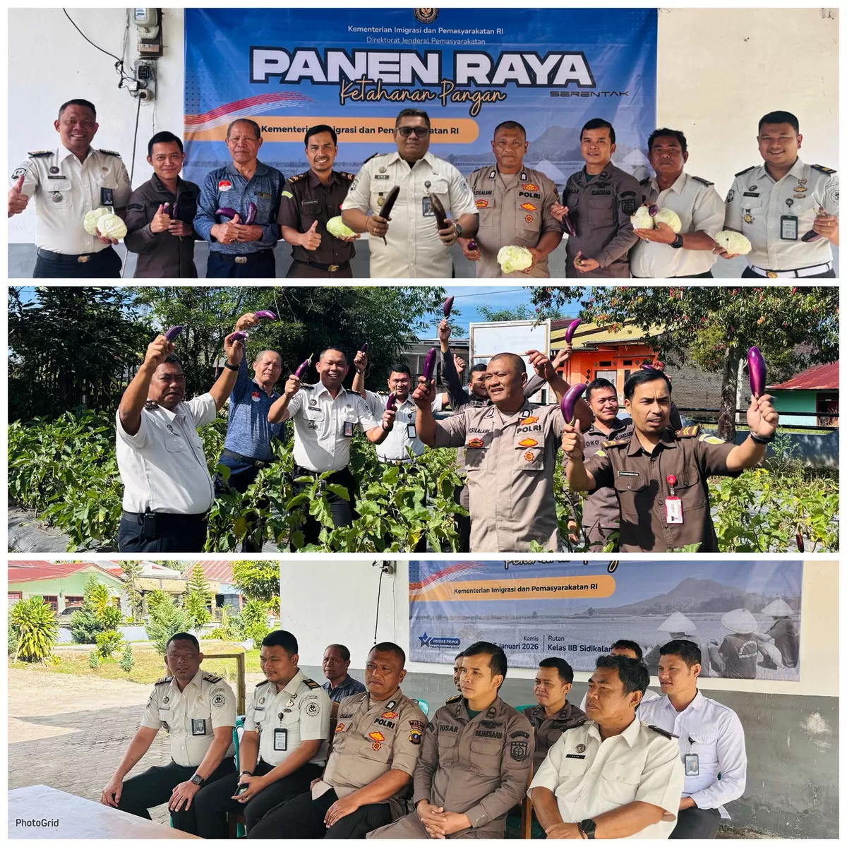 Karutan Sidikalang dan Jajaran Serta APH Saat Kegiatan Panen Raya