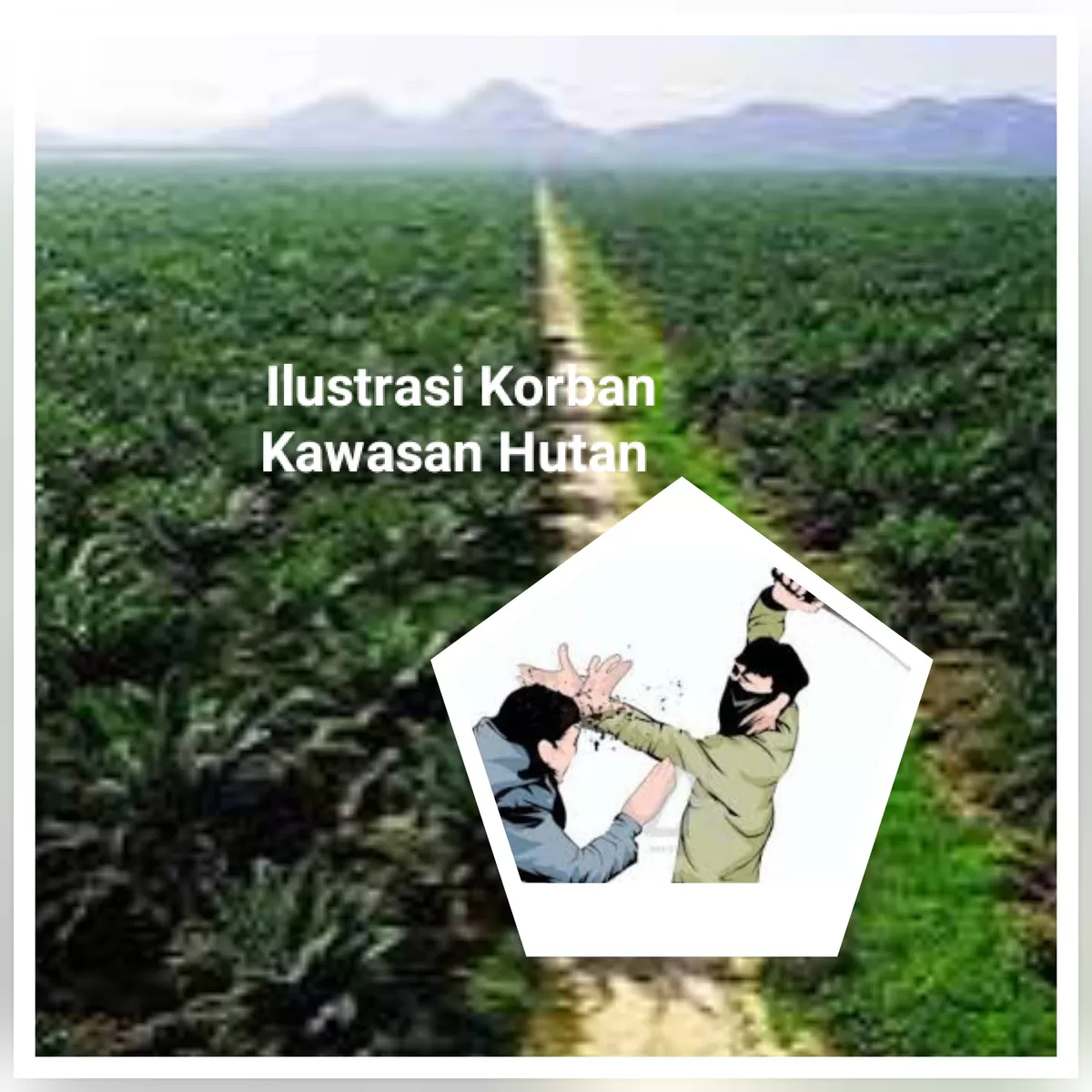 Foto Ilustrasi Masyarakat Dalam Kawan Hutan Kelapa Sawit Milik Perusahaan  (NAWACITAPOST.COM)