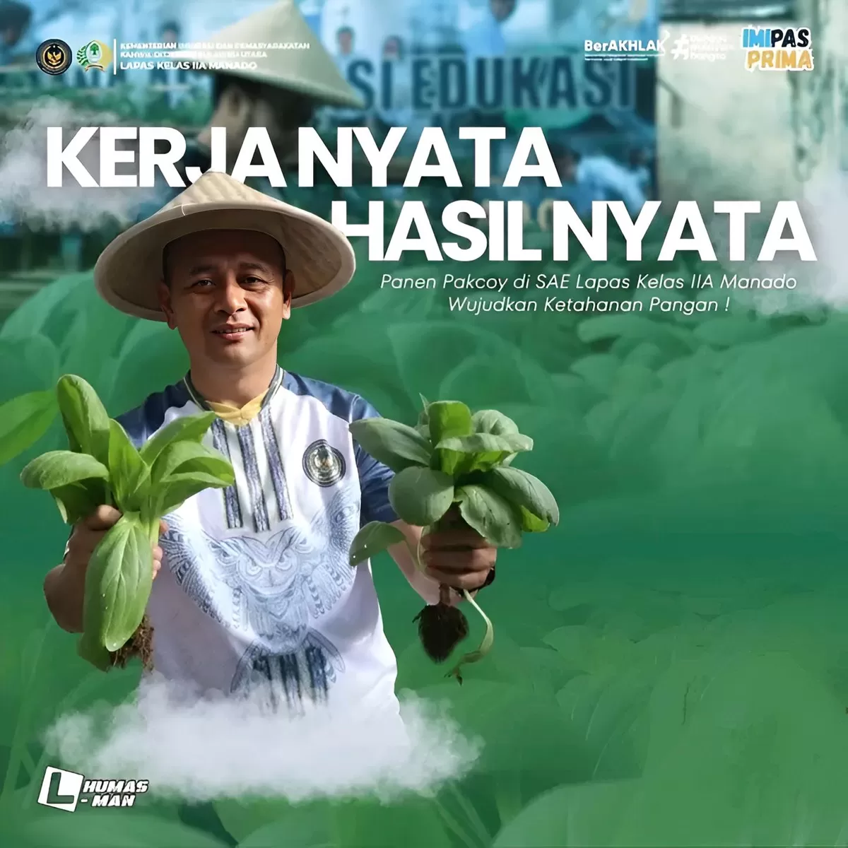 Kalapas Manado Saat Panen Pakcoy di Area SAE