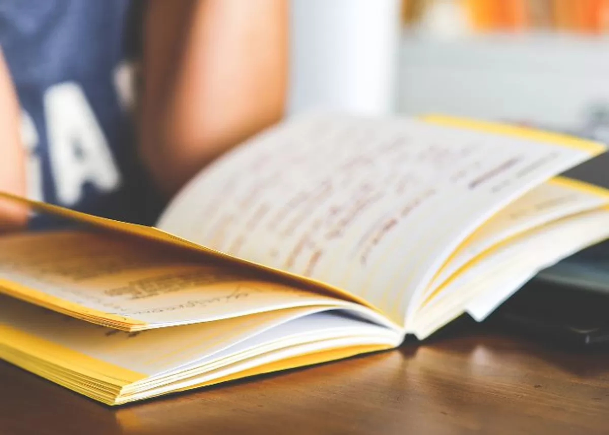 Pentingnya Literasi bagi Mahasiswa dalam Menghadapi Tantangan Akademik dan  Dunia Kerja - VisiNews.net