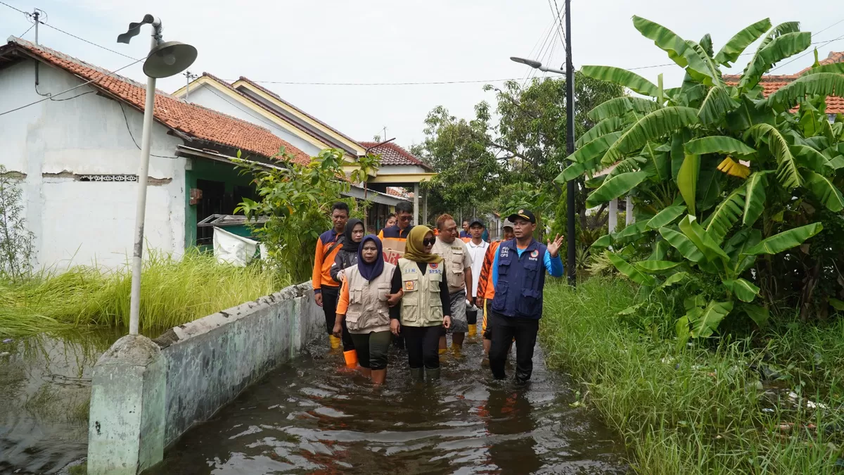 Wakil walikota Tegal tinjau banjir di Krandon, Kota Tegal ( Agus R)