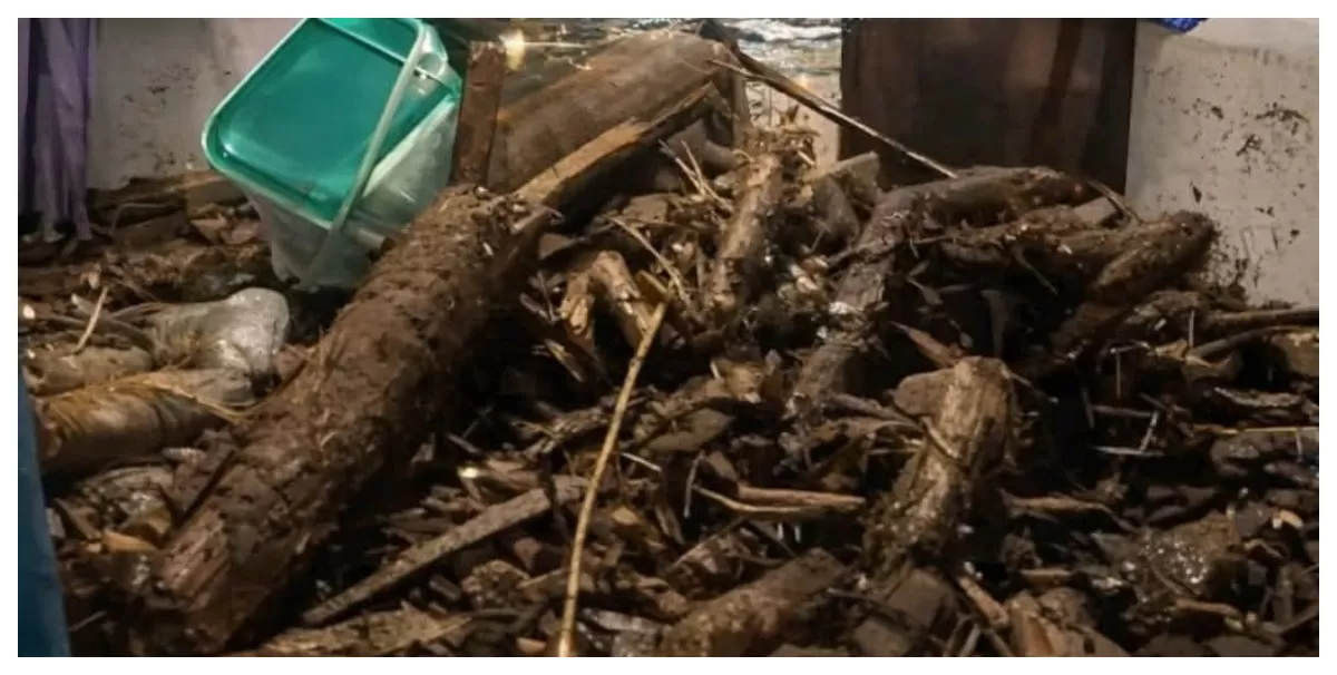 Kayu kayu gelondongan terbawa arus dan nyampe ke erkampungan warga Pemalang (Agus R)