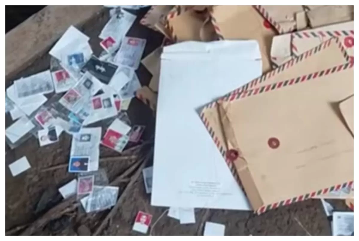 Viral penemuan CV pelamar kerja yang dibuang sembarangan. (TikTok/quirkyalone1047)